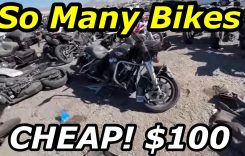 Exploring Copart Walk Around Motorcycles: Find Many Cheap Harley Davidsons